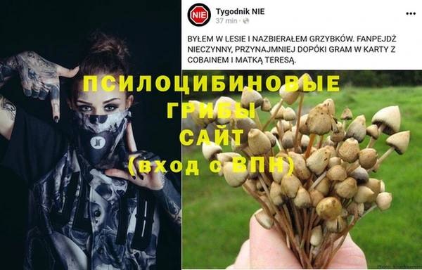 кокаин перу Горнозаводск