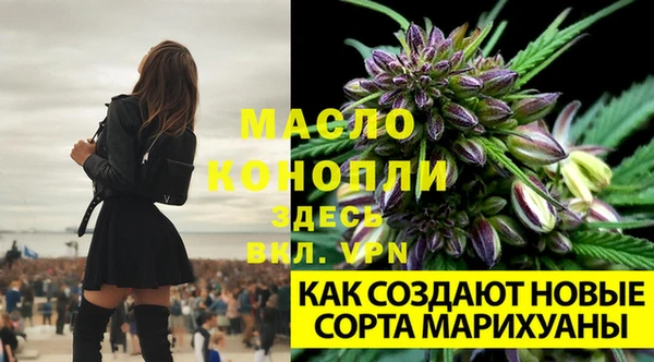 spice Горно-Алтайск
