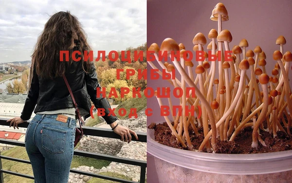 spice Горно-Алтайск