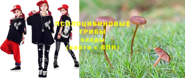 spice Горно-Алтайск